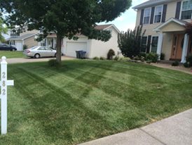 O'Fallon Lawn Care