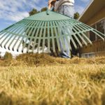 5 Winter St. Charles Lawn Care Tips