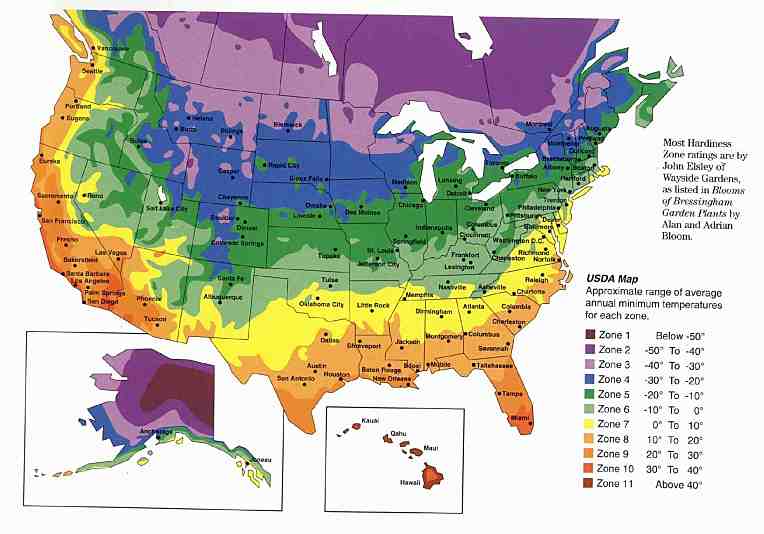 USDA Plant Zone Map