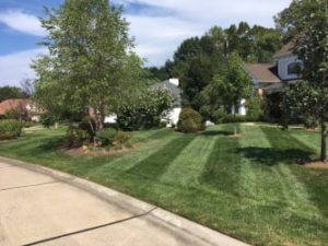 Lake St. Louis lawn mowing