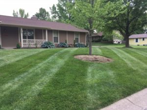 St. Peters lawn care