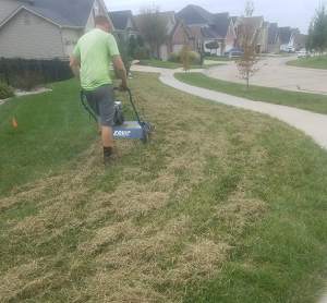 Aeration Service